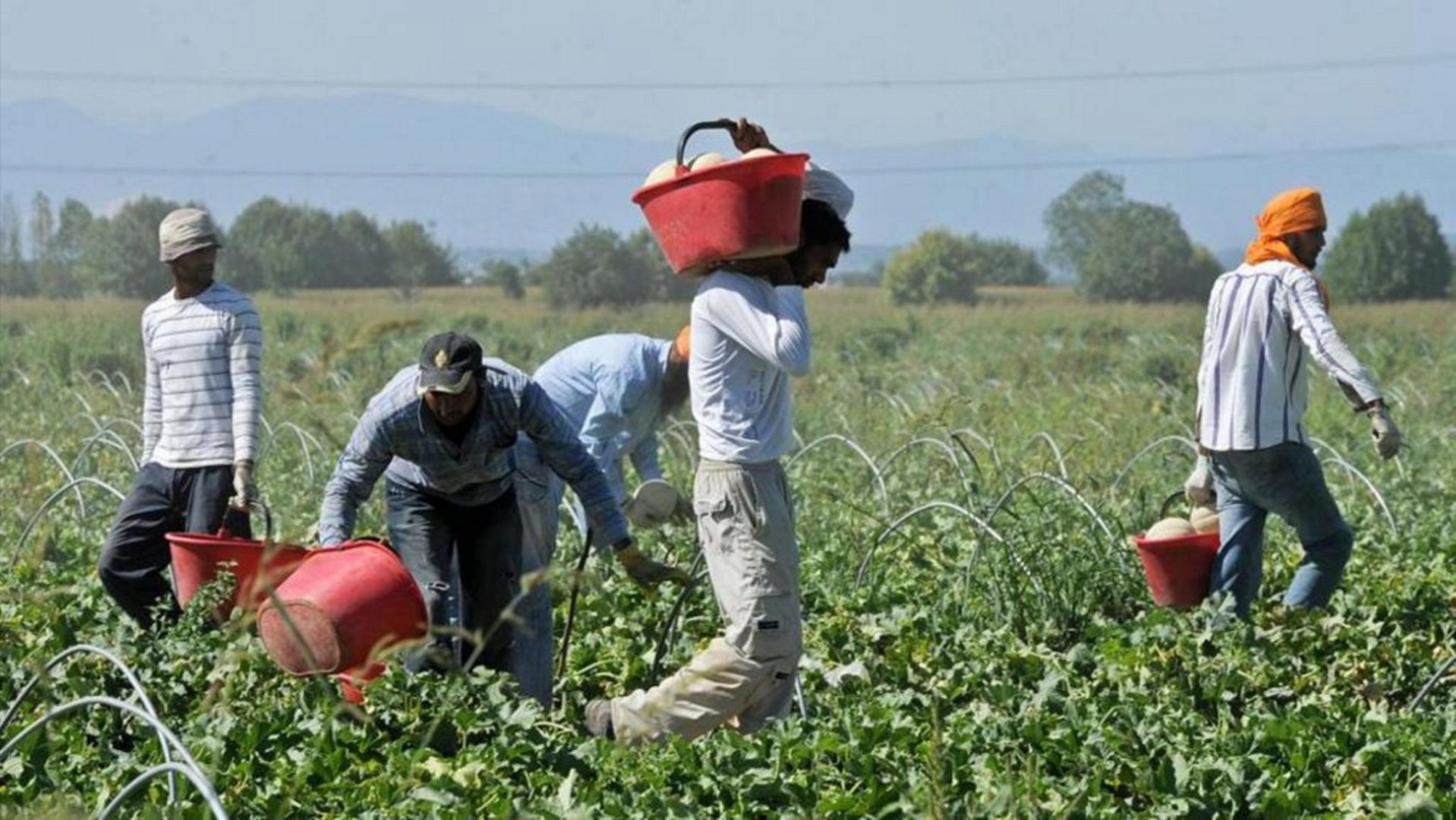 Dalle nostre tavole allo sfruttamento nei campi, i problemi del caporalato