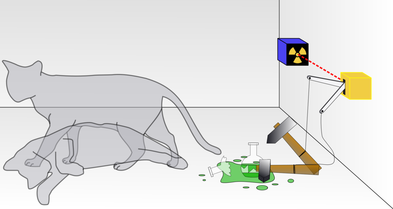 Paradosso Del Gatto Di Schrödinger Spiegazione