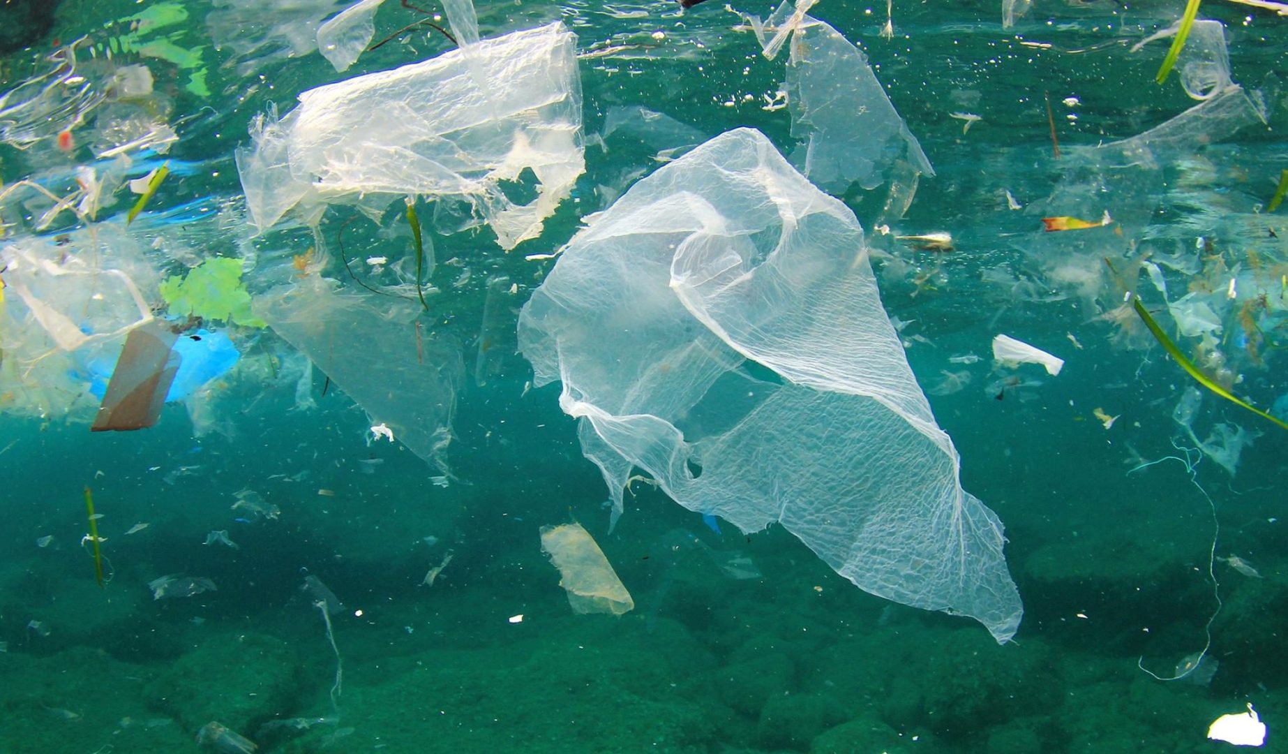 L’UE e il divieto della plastica monouso: in cosa consiste quello che chiamiamo “plastica”