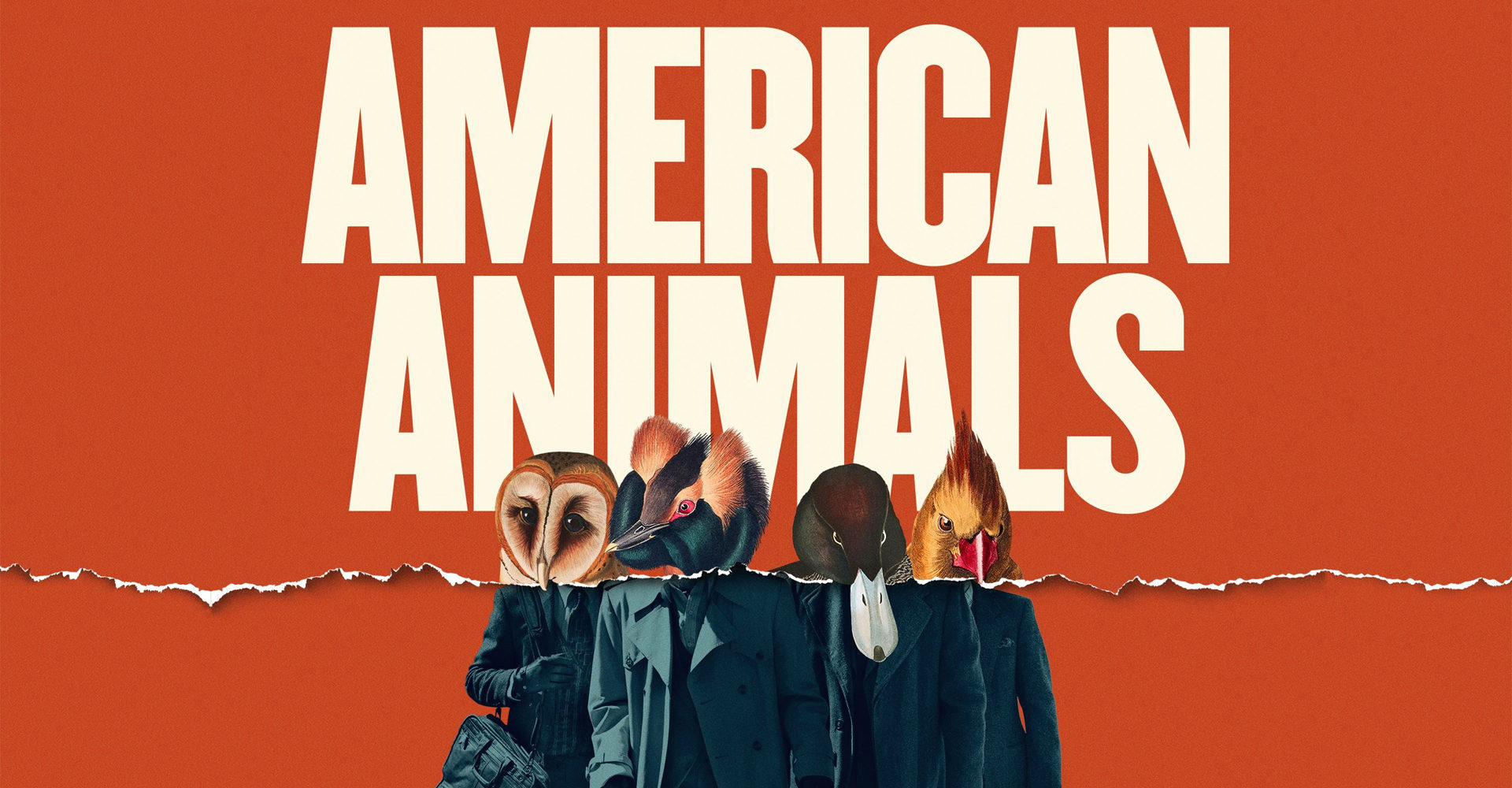 La scelta esistenzialista delle infinite possibilità, nucleo centrale del film ‘American Animals’ di Bart Layton