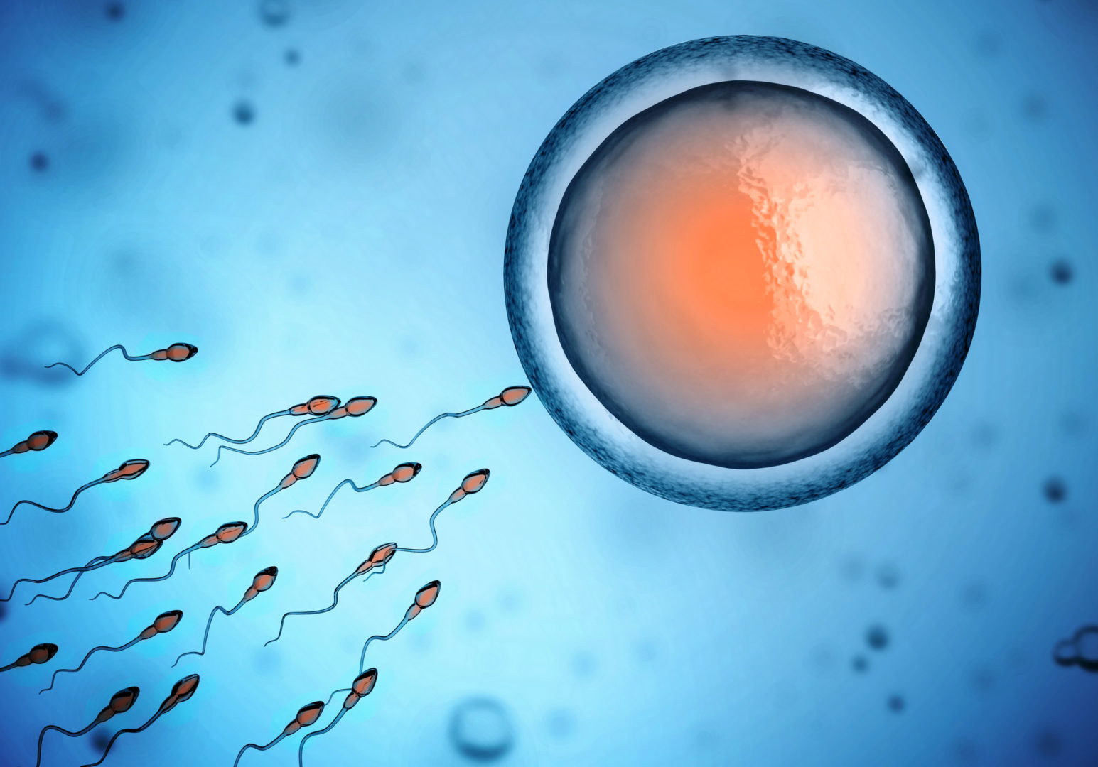 Fecondazione in vitro ed età dell’uomo: bisogna congelare anche gli spermatozoi