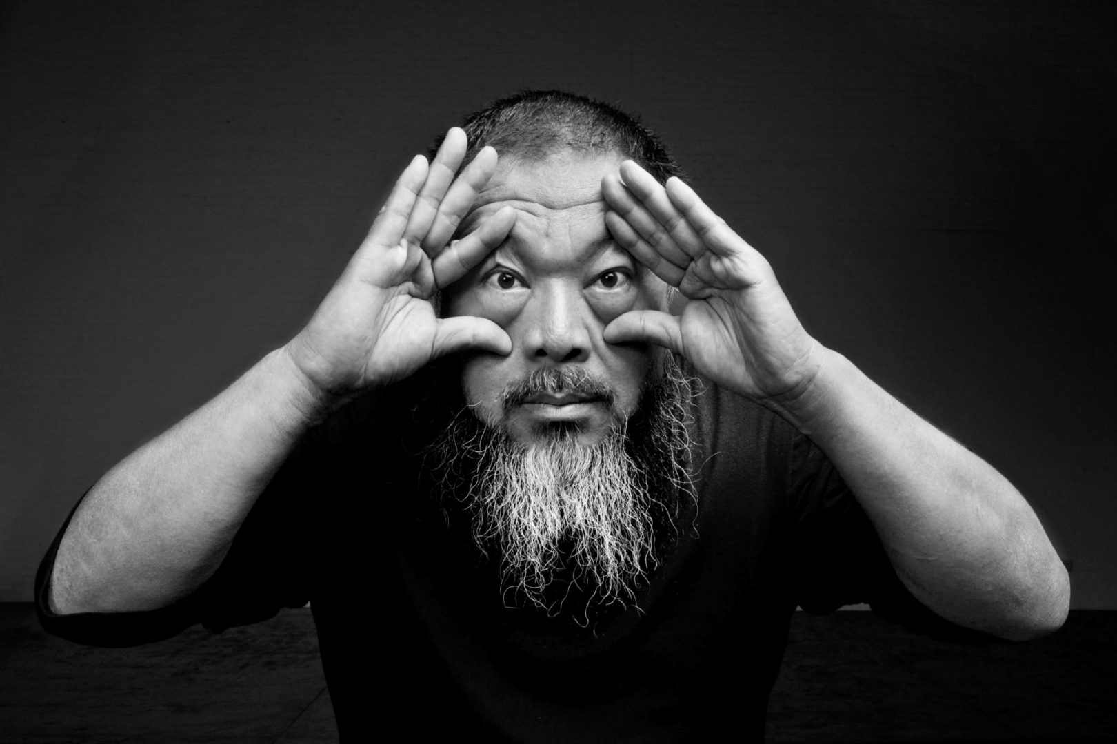 Souvenir from China: Ai Weiwei e le Proteste degli ombrelli