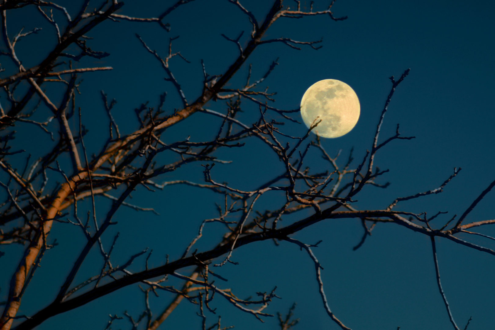 Una Superluna irradia il cielo nella notte del 9-10 Marzo