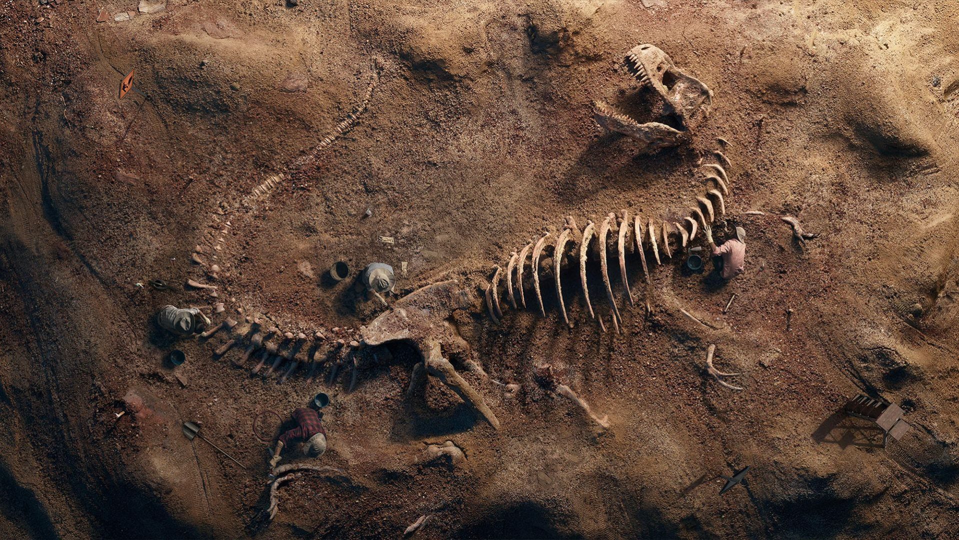 Ritrovato fossile di lucertola antico 20 milioni di anni: all’inseguimento del sogno Jurassic Park