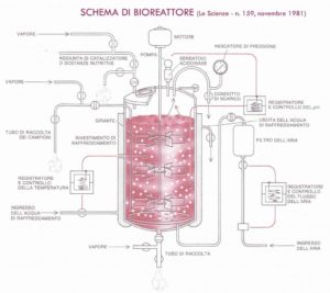Esempio di Bioreattore