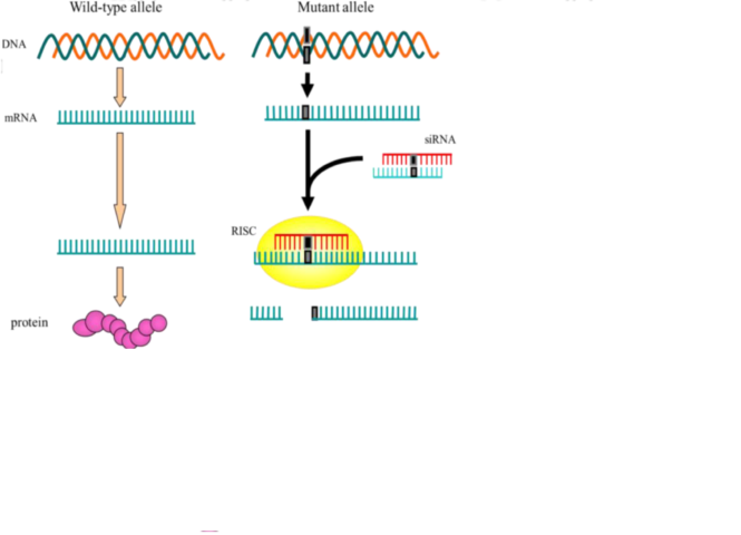 un esempio di intercettazione molecolareu
