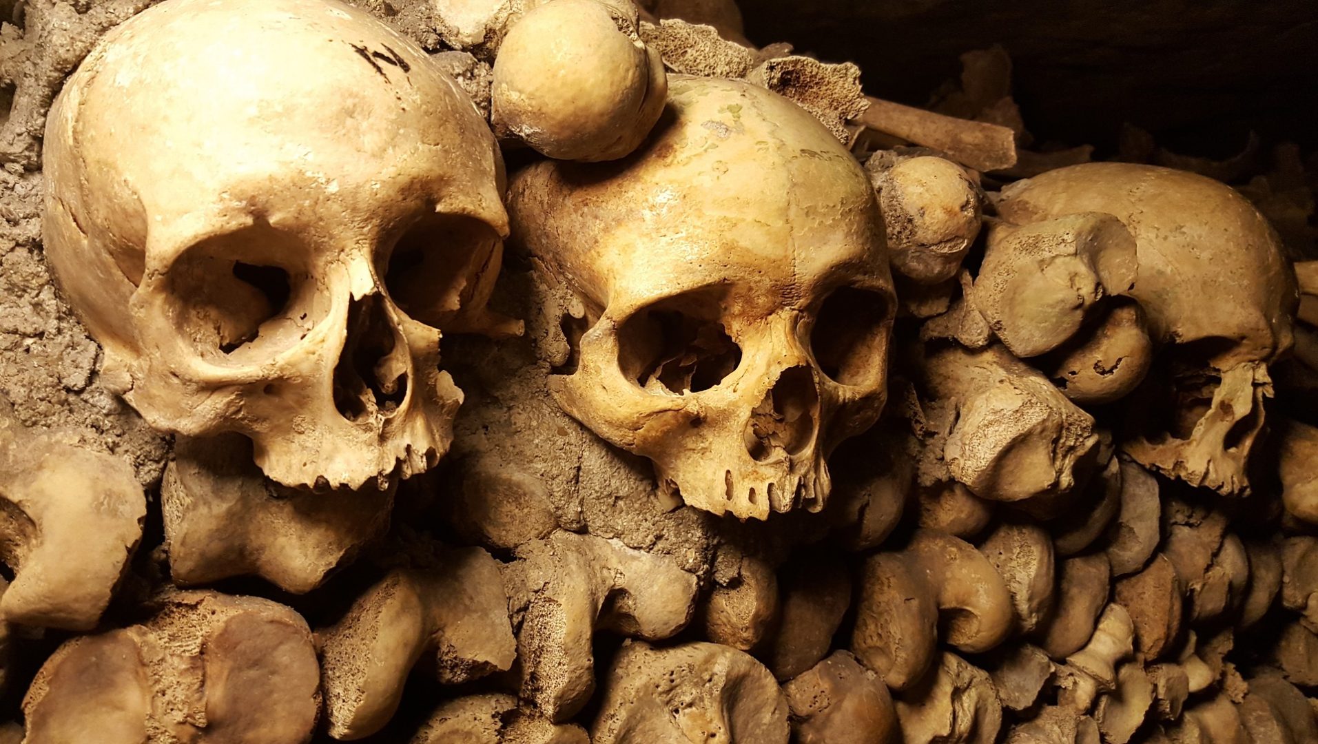 Scienza e storia connesse per comprendere il passato: ecco cosa abbiamo capito delle civiltà precolombiane