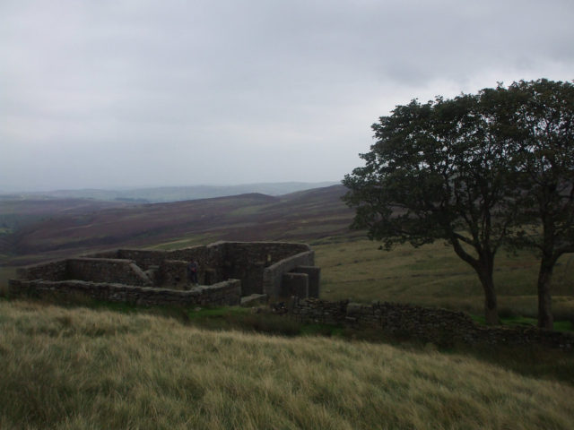 Scorcio della brughiera inglese