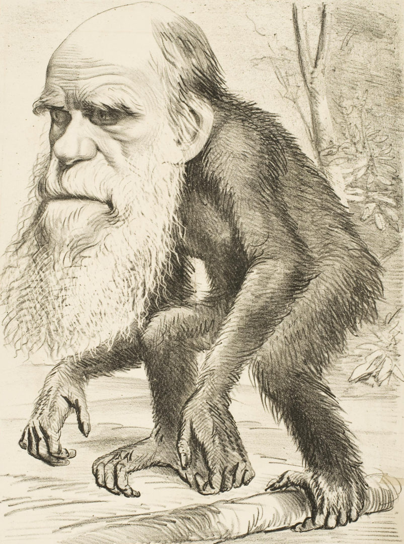 L’uomo è creato ad immagine e somiglianza di Dio? Darwin e Remus Lupin rispondono