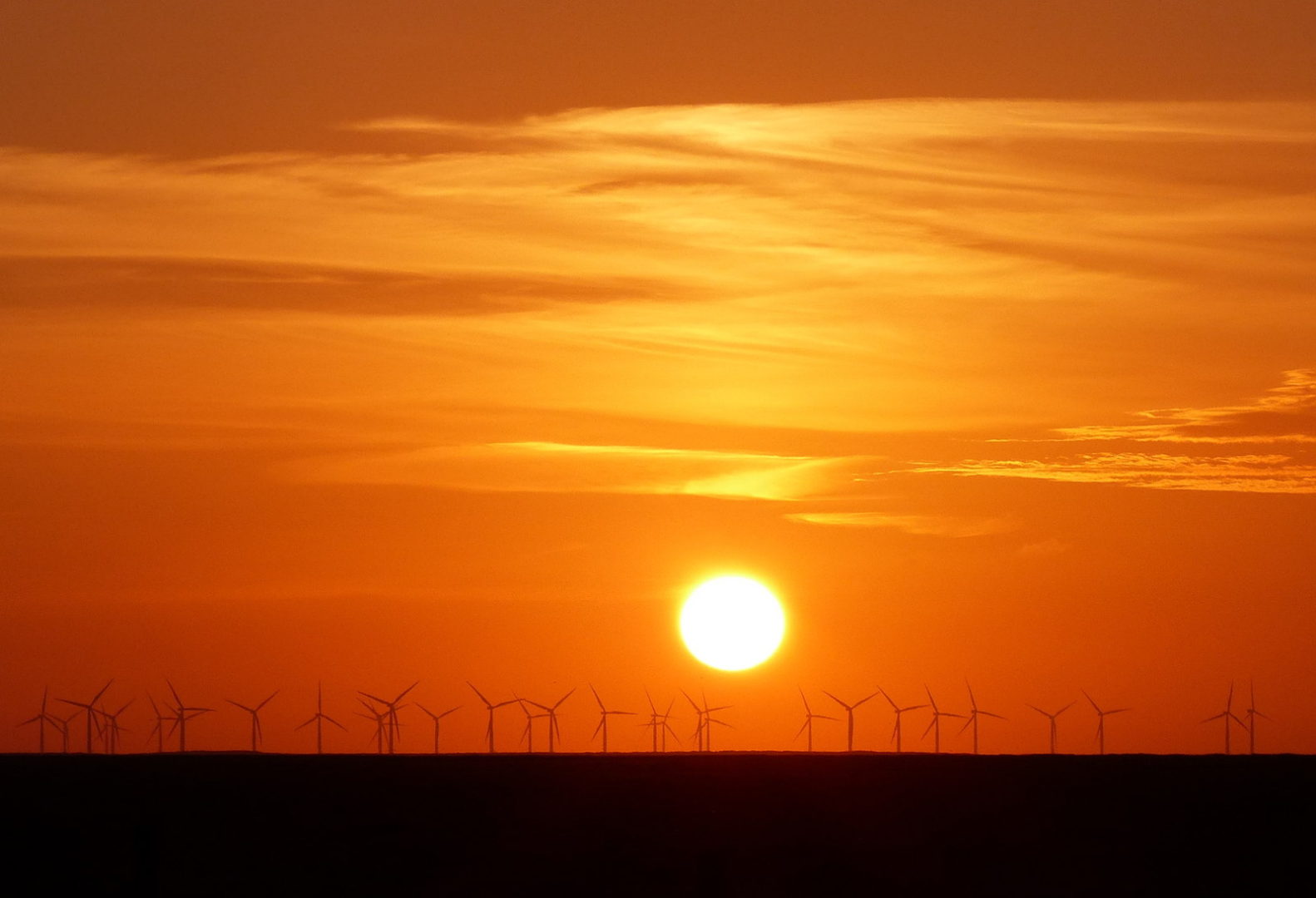 Le energie rinnovabili raggiungono un nuovo record, scopriamo il funzionamento delle turbine eoliche