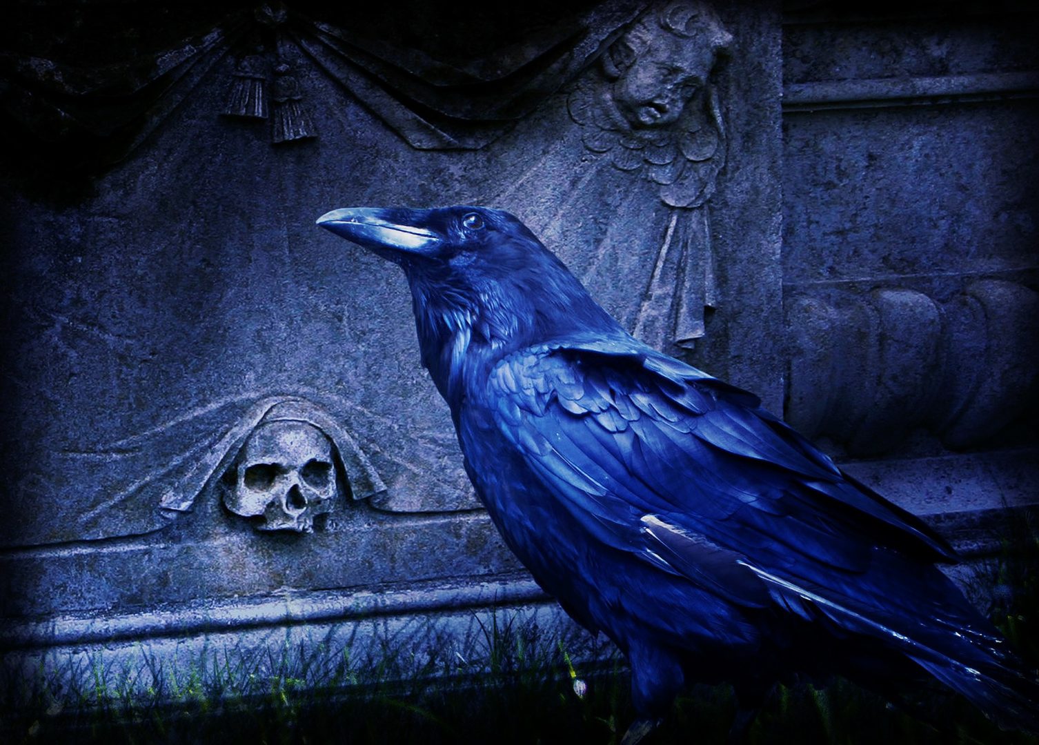L’influenza di Edgar Allan Poe in Pascoli e Burton: “Il Corvo” viaggia nel tempo