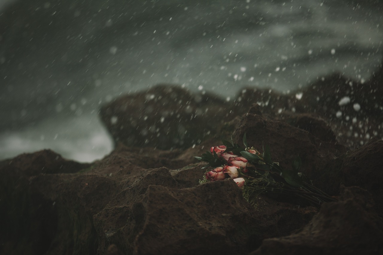 Si ama per comprendere sè stessi? Ci rispondono Kafka e Grossman