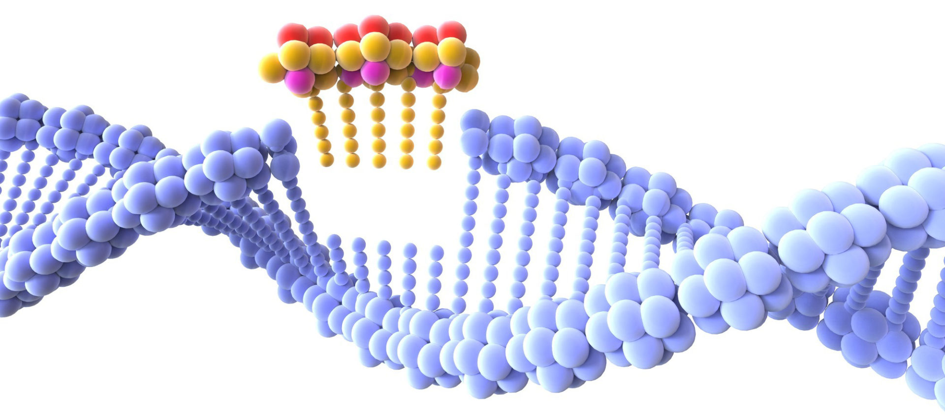 Premio Nobel alle ideatrici del modello CRISPR/Cas9: scopriamo cos’è e come funziona