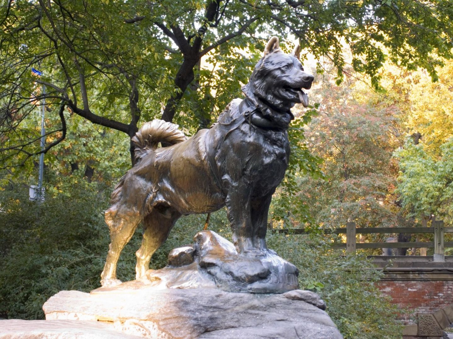 Balto: il cane eroe che ha aiutato l’uomo nella lotta contro la difterite