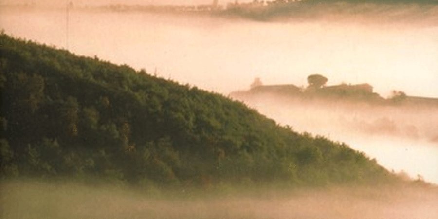 Il ritorno è dolceamaro