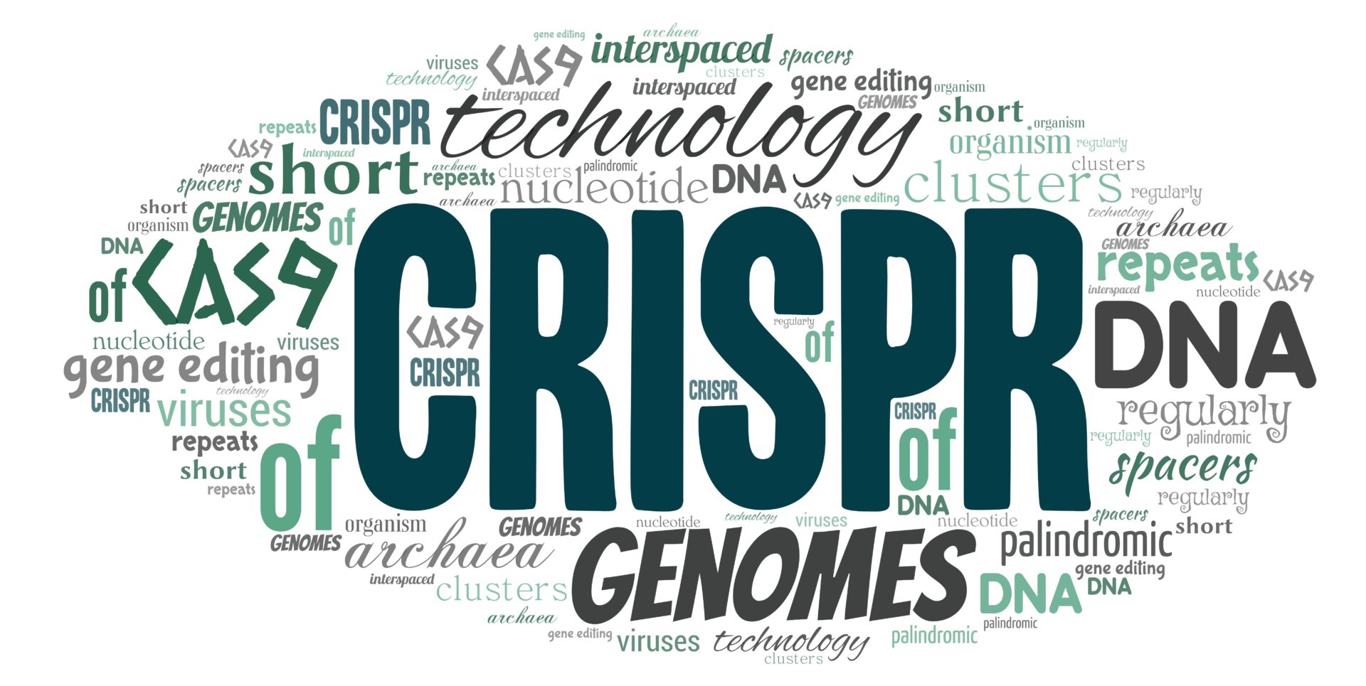 Art Attack ci porta alla scoperta di CRISPR/Cas9, forbici molecolari dalla punta arrotondata