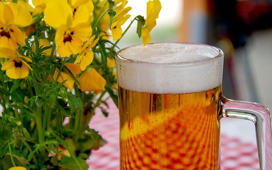 Rivoluzione della birra artigianale italiana: l’evoluzione del consumo alcolico nei secoli