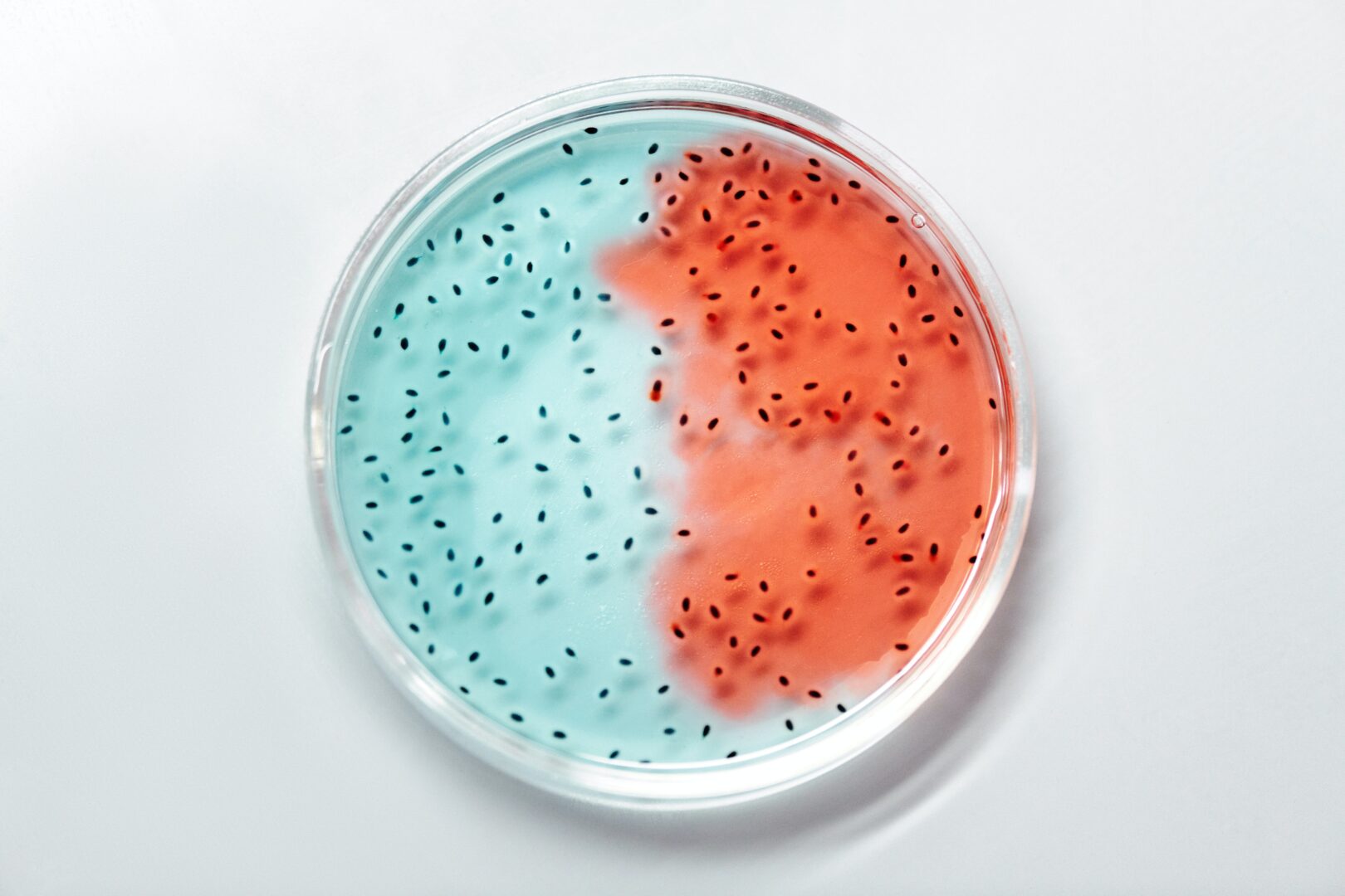 Doppi sensi microbiologici: come Caparezza involontariamente ci parla degli organismi più piccoli del nostro ecosistema