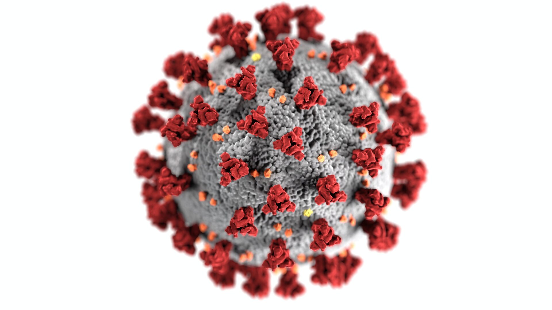 Coronavirus e la nuova variante Delta: cerchiamo di capire come funzionano le mutazioni