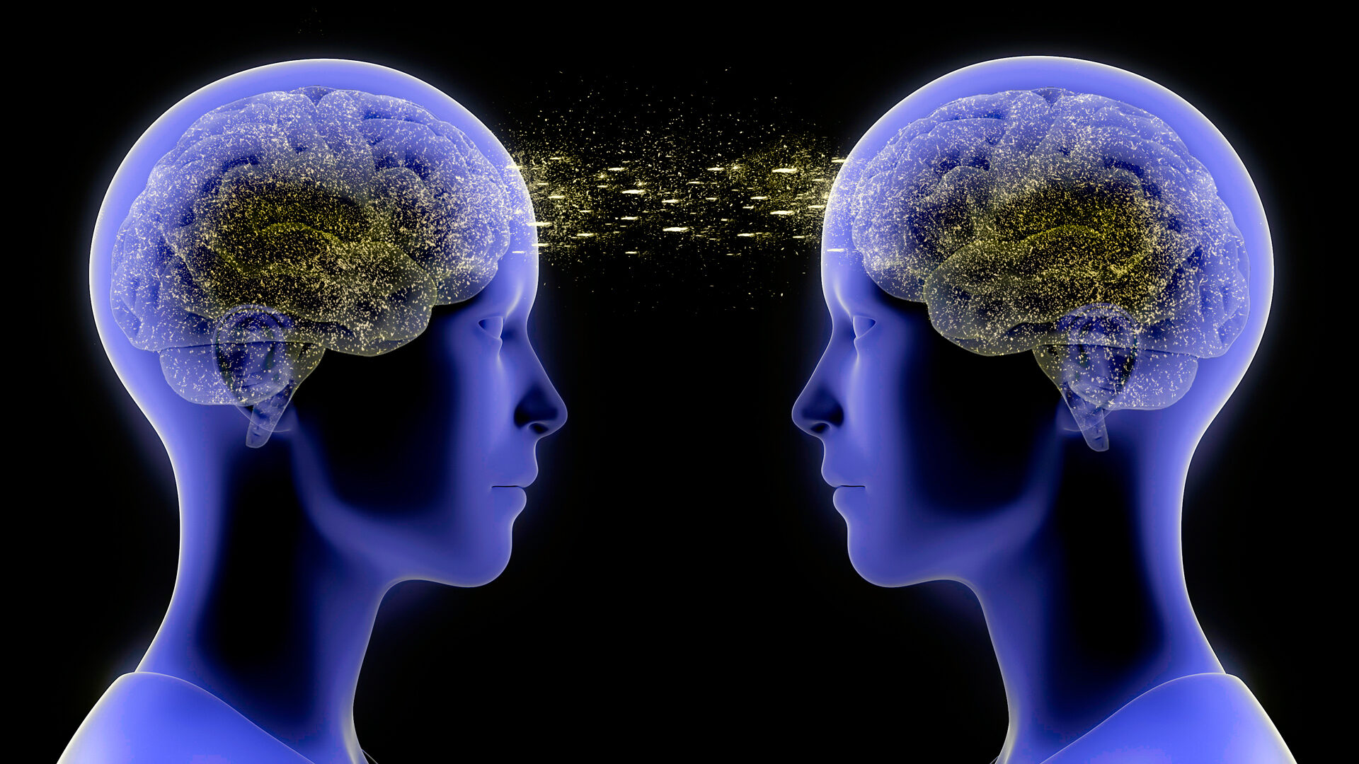 I 7 ambiti delle neuroscienze sociali: scopriamo come studiare insieme economia, politica e neuropsicologia