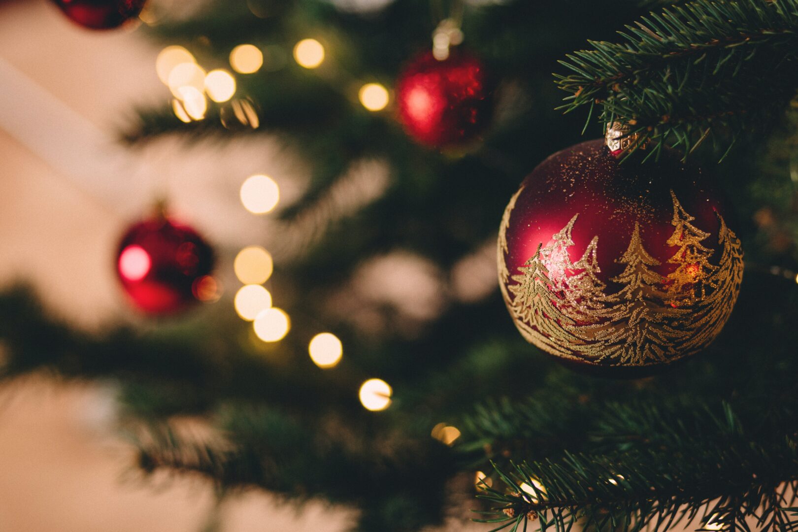 La nascita di Isaac Newton fu il miglior regalo di Natale mai fatto
