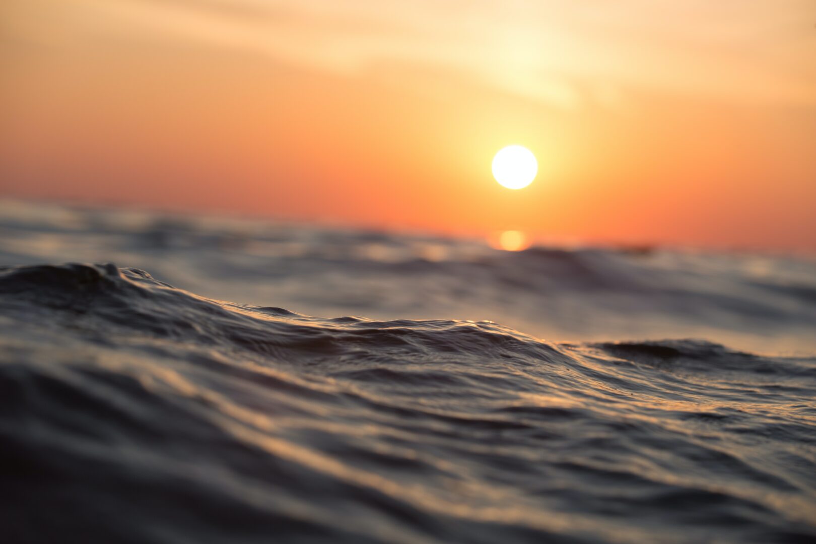 L’isola di plastica ci spiega perché gettare rifiuti in mare sia così pericoloso