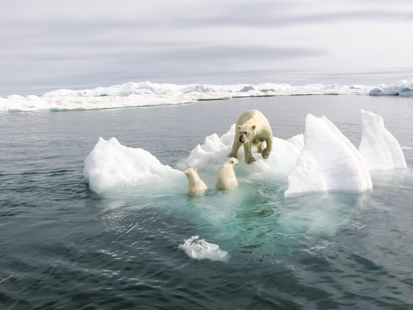 In che modo il riscaldamento globale cambierà lo scenario geo-politico? I positivisti rispondono