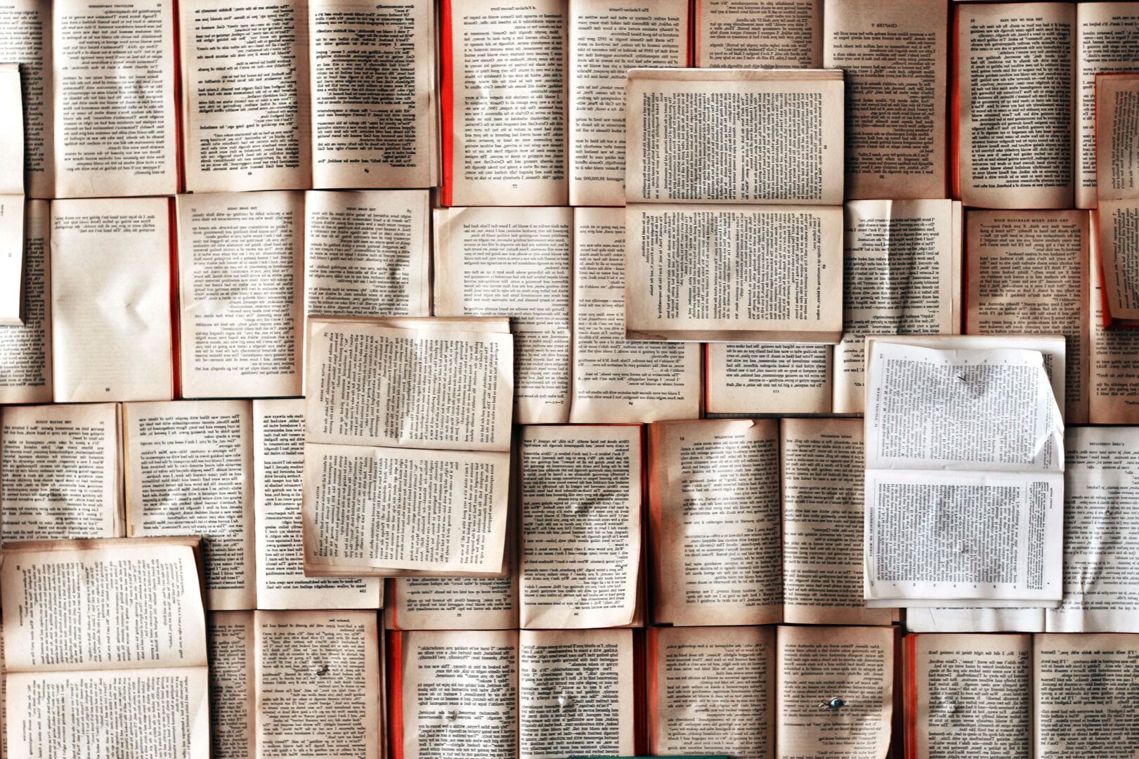 I libri durante il periodo hitleriano: ecco quali erano i best seller della Germania nazionalsocialista
