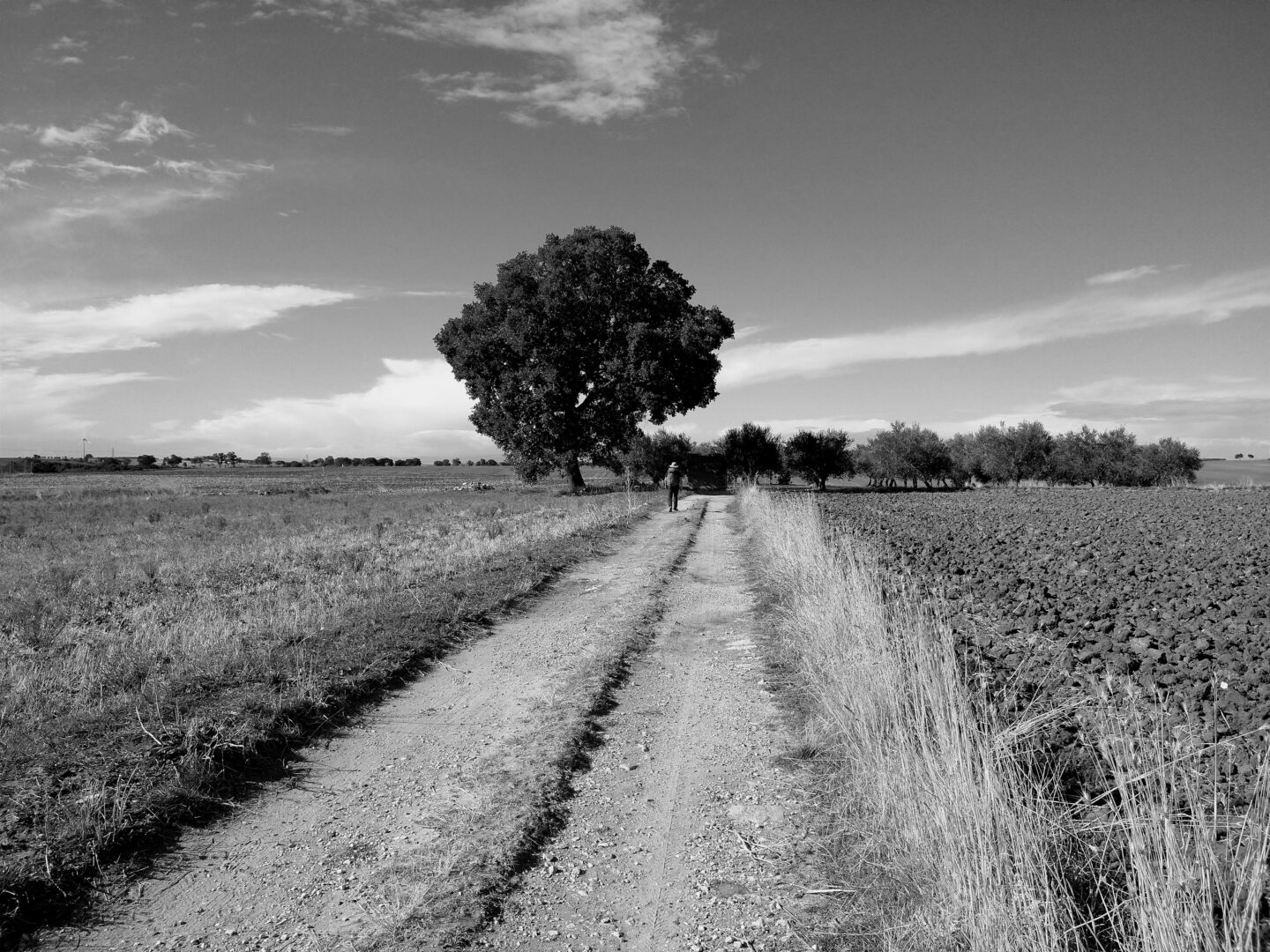 Vivere senza risposte: Cesare Pavese e Italo Svevo indagano l’inquietudine dell’animo moderno
