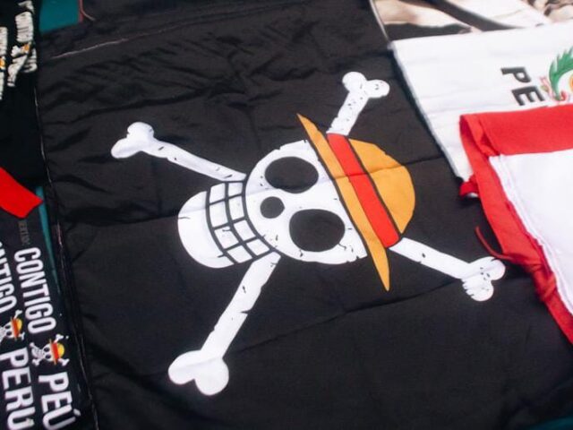 Scopriamo il collegamento tra la bandiera di One Piece e le manifestazioni pro Palestina
