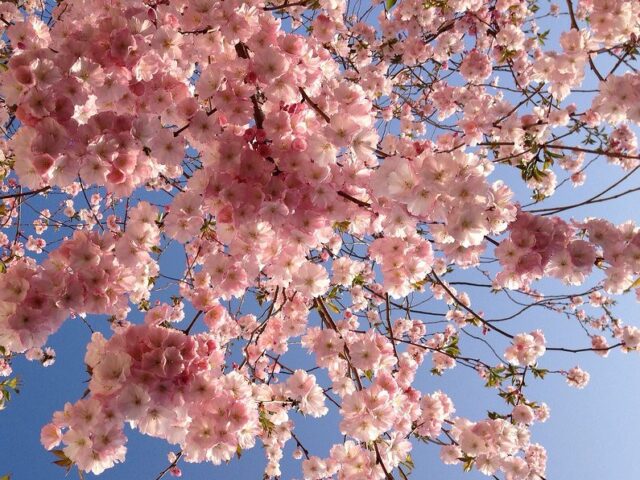 Le radici antiche della Pasqua tra la rinascita primaverile e le persistenze dei riti precristiani