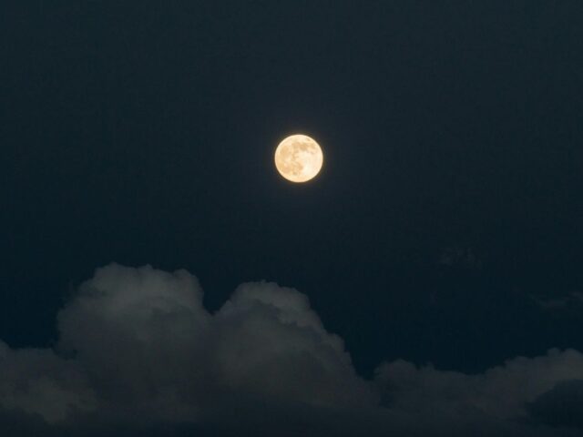 Cosa hanno in comune “Bear nella grande casa blu”, Leopardi e Zarathustra? Scopriamolo